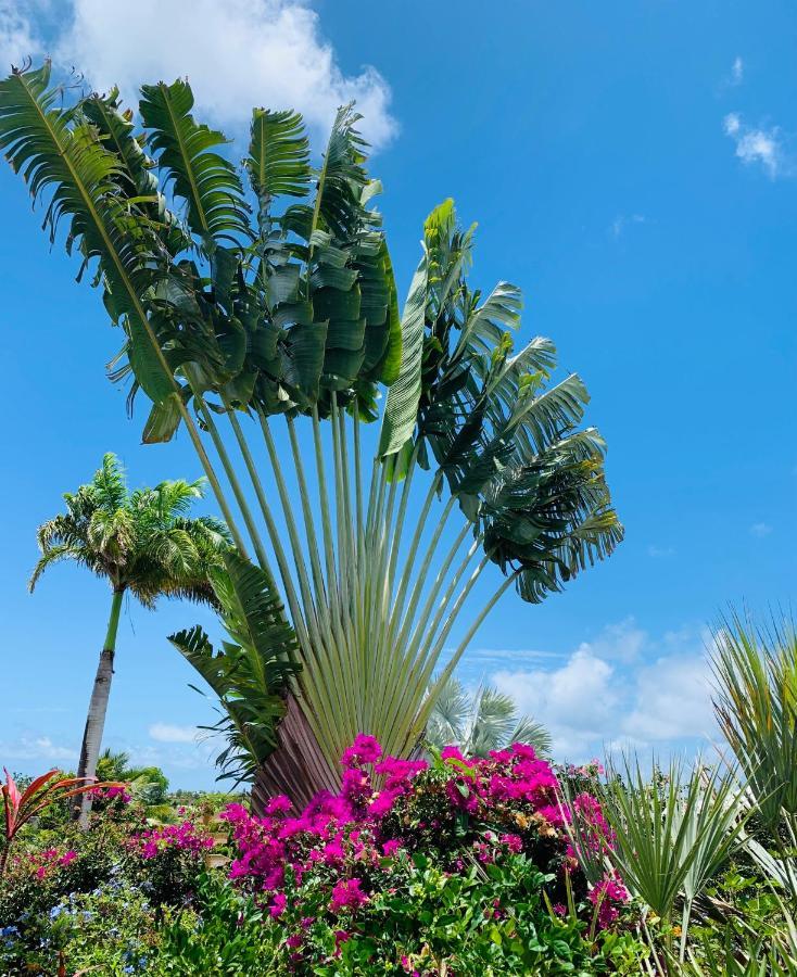 Résidence de tourisme Domaine Saint-François Saint-Francois (Grande-Terre) Exterior foto
