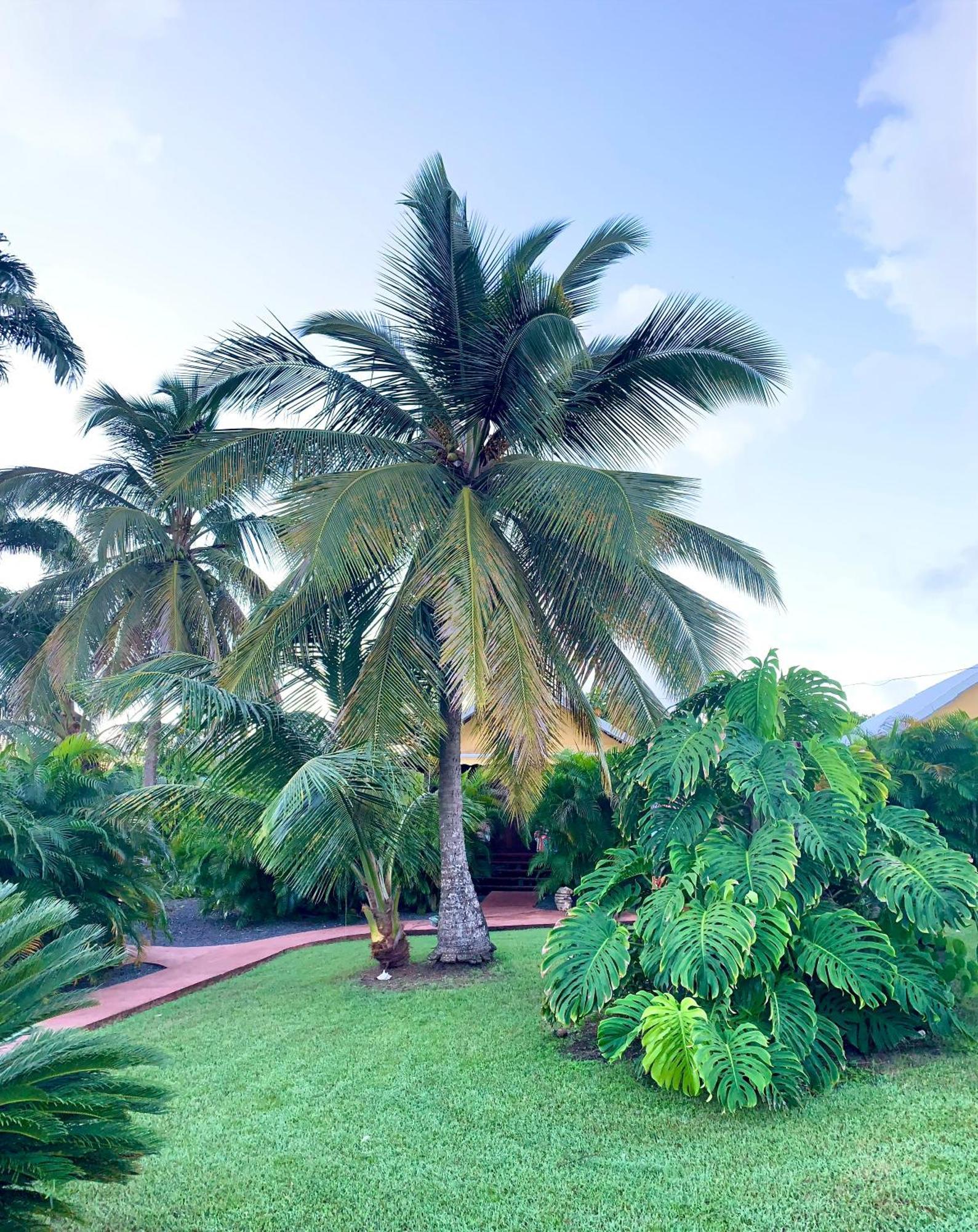 Résidence de tourisme Domaine Saint-François Saint-Francois (Grande-Terre) Exterior foto