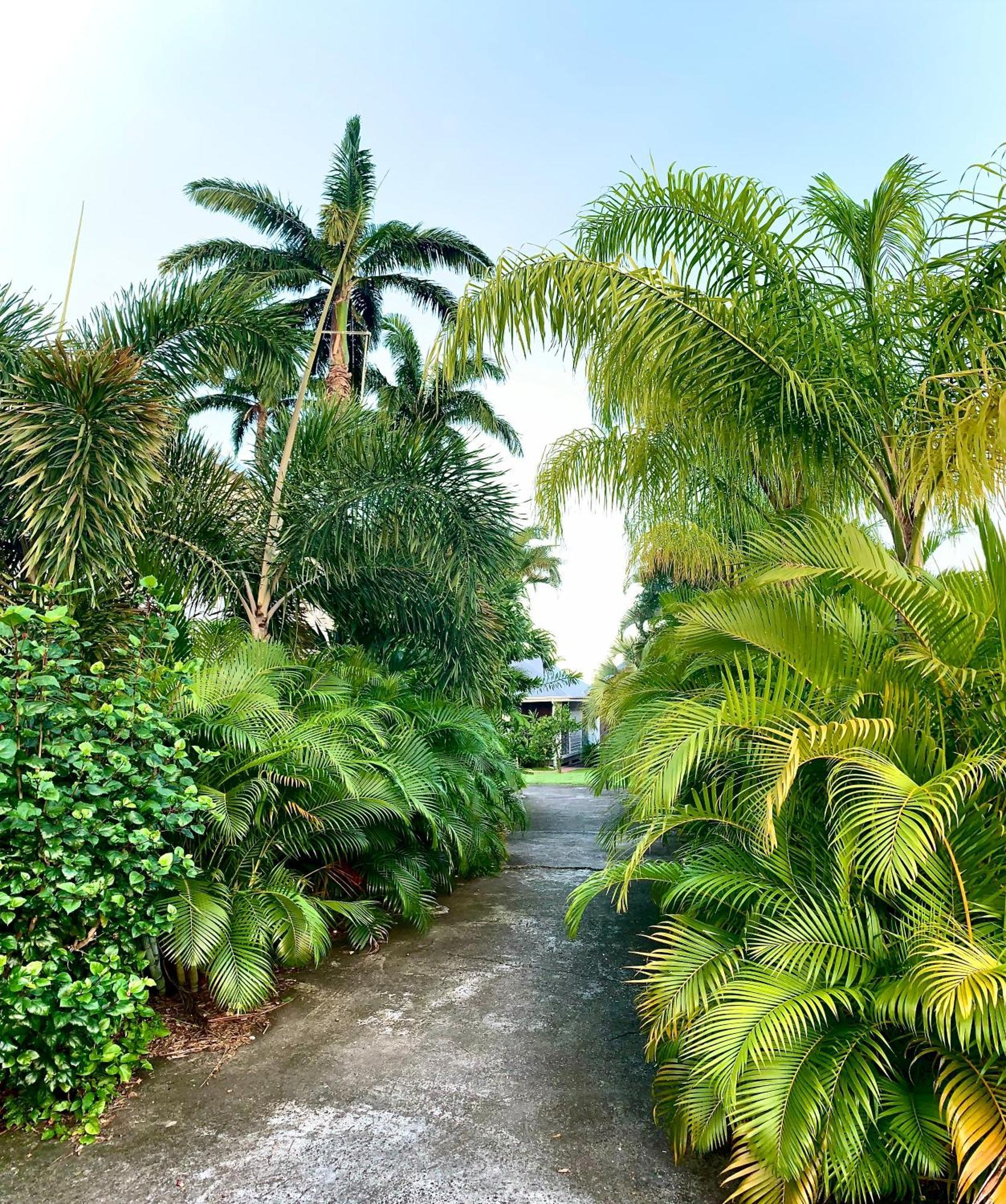 Résidence de tourisme Domaine Saint-François Saint-Francois (Grande-Terre) Exterior foto