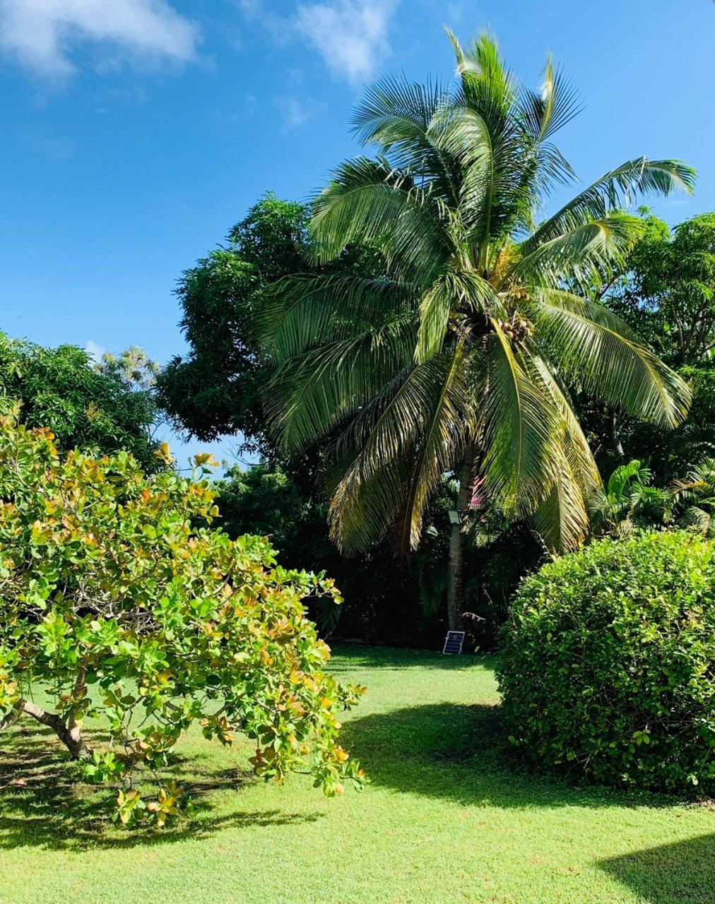 Résidence de tourisme Domaine Saint-François Saint-Francois (Grande-Terre) Exterior foto