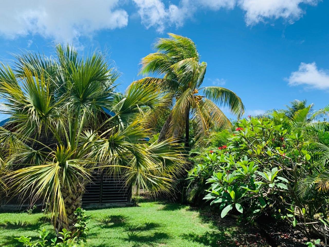 Résidence de tourisme Domaine Saint-François Saint-Francois (Grande-Terre) Exterior foto